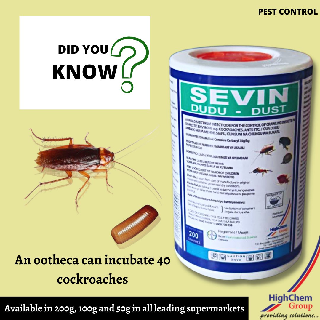 HighChemGroup's tweet photo. I'm also brave, not until a cockroach starts flying...
Don’t let bugs creep you out, allow SEVIN DUDU DUST to take charge. Controls mites, lice, fleas and ticks.
For queries contact sales@highhem.ke| 0709 606 000|
#ProvidingSolutions #pestcontrol #pestmanagement https://t.co/cmAohVeiSH