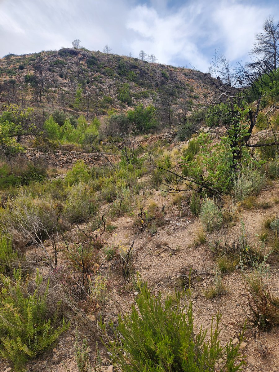 Alexandria Thomsen tweet media