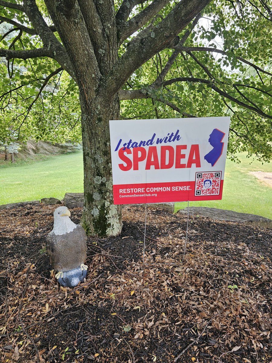 thomashudanish's tweet image. I spy with my little eye, two Bill Spadea signs. #diggingin
