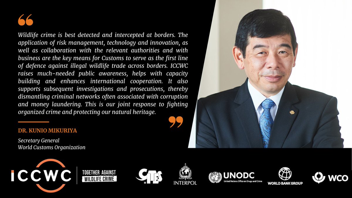 Dr. Kunio Mikuriya @wcosg, reflects on the joint response of #ICCWC to combat wildlife crime and @WCO_OMD role in detecting & intercepting illegal wildlife trade across borders.   

💫  Read more in our new biannual report: bit.ly/46fgQRJ 

#TogetherAgainstWildlifeCrime