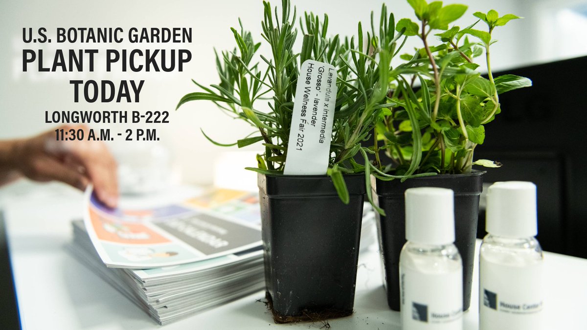 Office of the CAO (@caohouse) on Twitter photo Kick off the official first day of summer at the #WellBeingFair: Tend to your well-being and grow your own happiness with a plant from today’s well-being session, courtesy of the <a href="/USBotanicGarden/">usbotanicgarden</a> 🪴 Kick off the official first day of summer at the #WellBeingFair: Tend to your well-being and grow your own happiness with a plant from today’s well-being session, courtesy of the <a href="/USBotanicGarden/">usbotanicgarden</a> 🪴