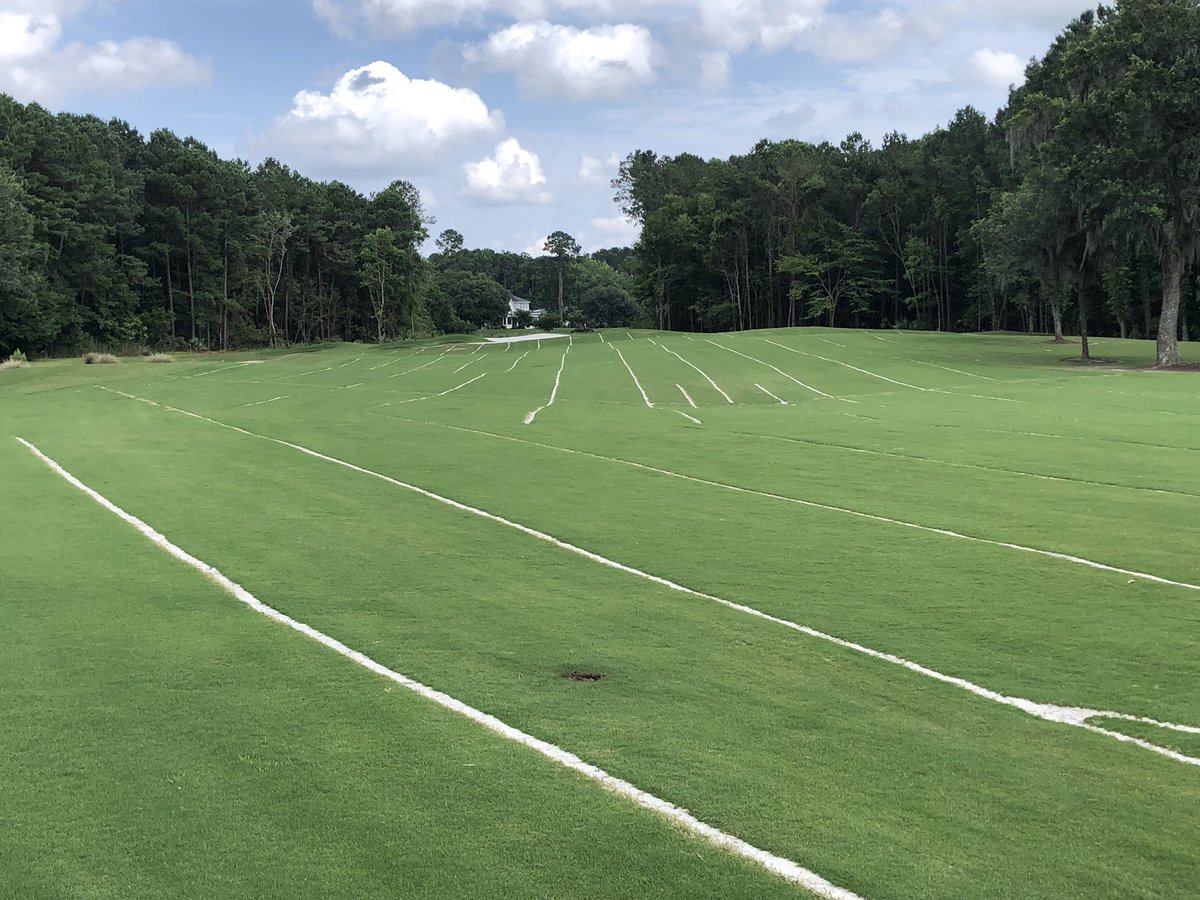 Sprigging of greens wraps up today at Hampton Hall Club with <a href="/NewLifeTurf1/">NewLife Turf</a> and <a href="/LandscapesGolf/">Landscapes Golf Management</a>, then they’ll finish up the install of <a href="/Billy_Bunker/">Better Billy Bunker</a> + bunker sand and sod on a handful of tees. <a href="/GPIDrainage/">Golf Preservations</a> continues to rock ‘n roll. Finish line is in sight.