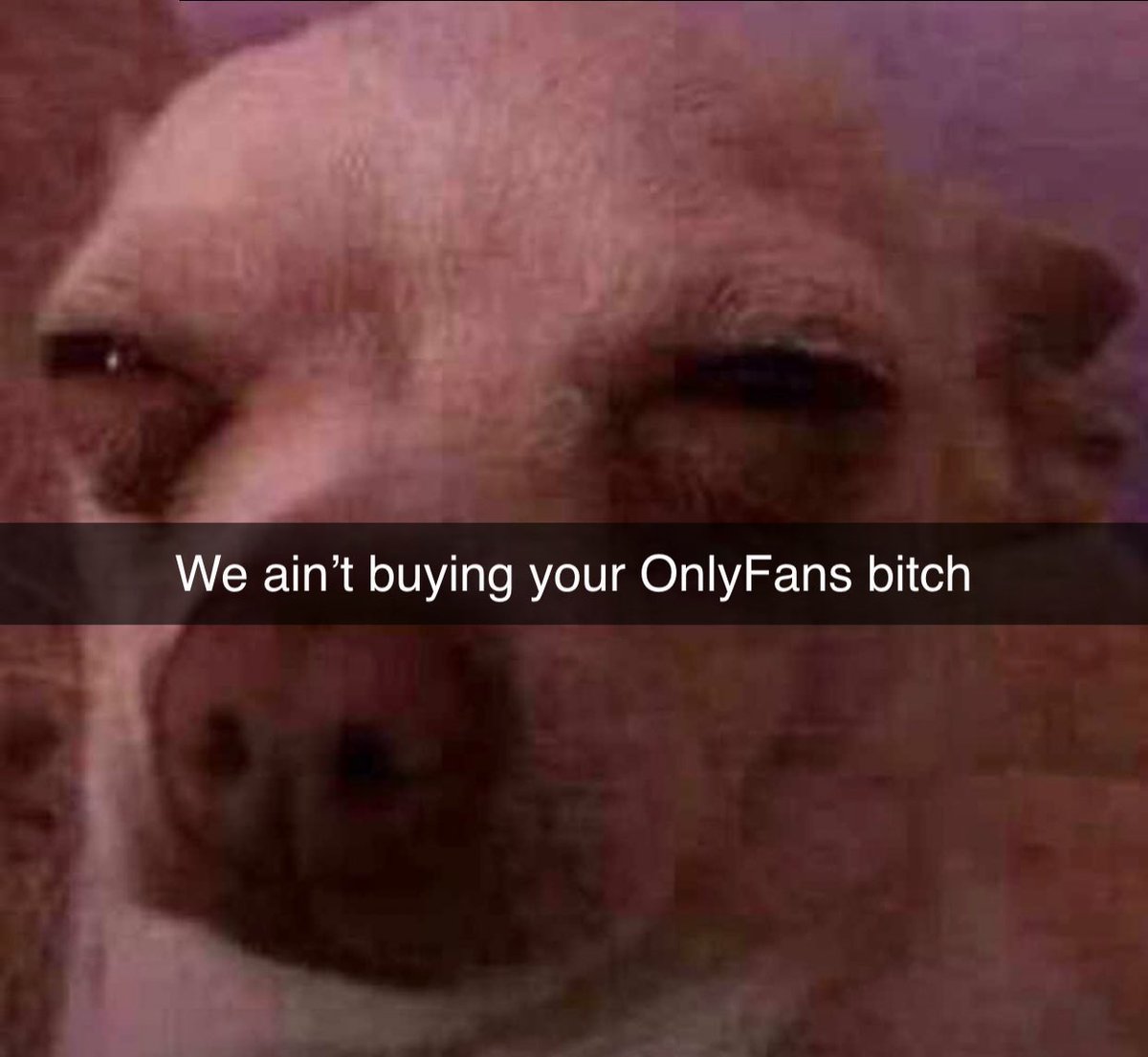 Chaseperry76's tweet photo. @hiamandag @Underrated_Dom @DailyLoud https://t.co/5ZQBlNq7AU