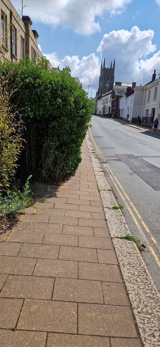 @devonhighways Bridgetown side of Brutus Bridge in Totnes....any chance of this being cut back, pedestrians and pushchairs forced into traffic. Thanks.