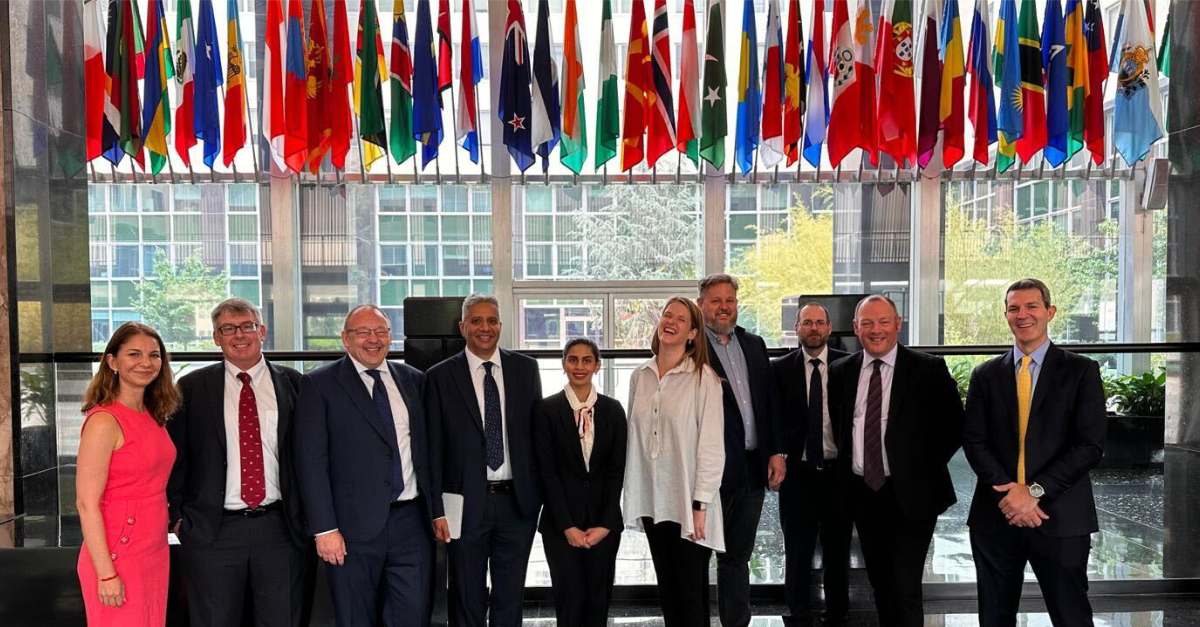 Solidatus tweet media