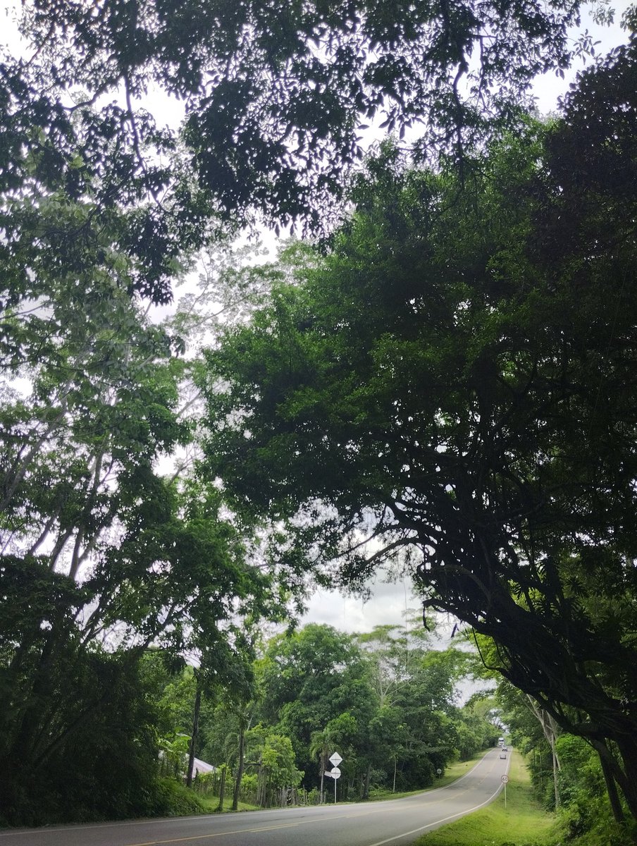 Iván cho (@ivancho3094) on Twitter photo 