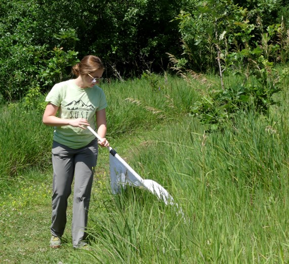 ITickUIUC's tweet photo. Come out to Hoo Haven in Durand, IL today to talk to Holly about ticks and animals! https://t.co/ttht5qWjNE