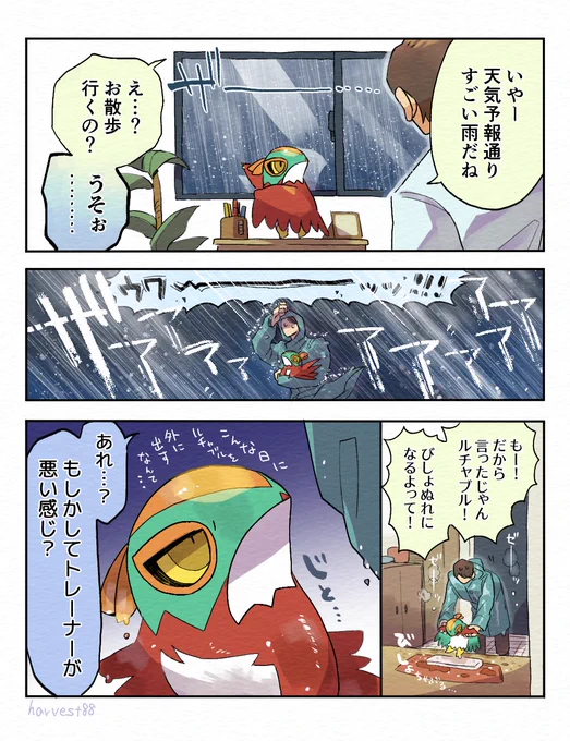 梅雨の赤ちゃんルチャチャ