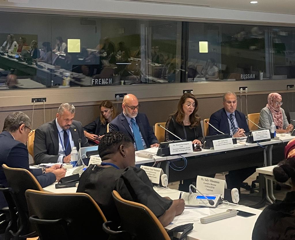 Rich exchange on building stronger cooperation to enhance holistic responses to the threat of terrorism in  #Africa. CCCPA is delighted to have co-organized this side-event at #CTweek w/ partners, promoting synergies and comprehensive approaches 

@UNODC @AU_ACSRT @WIIS_HoA
