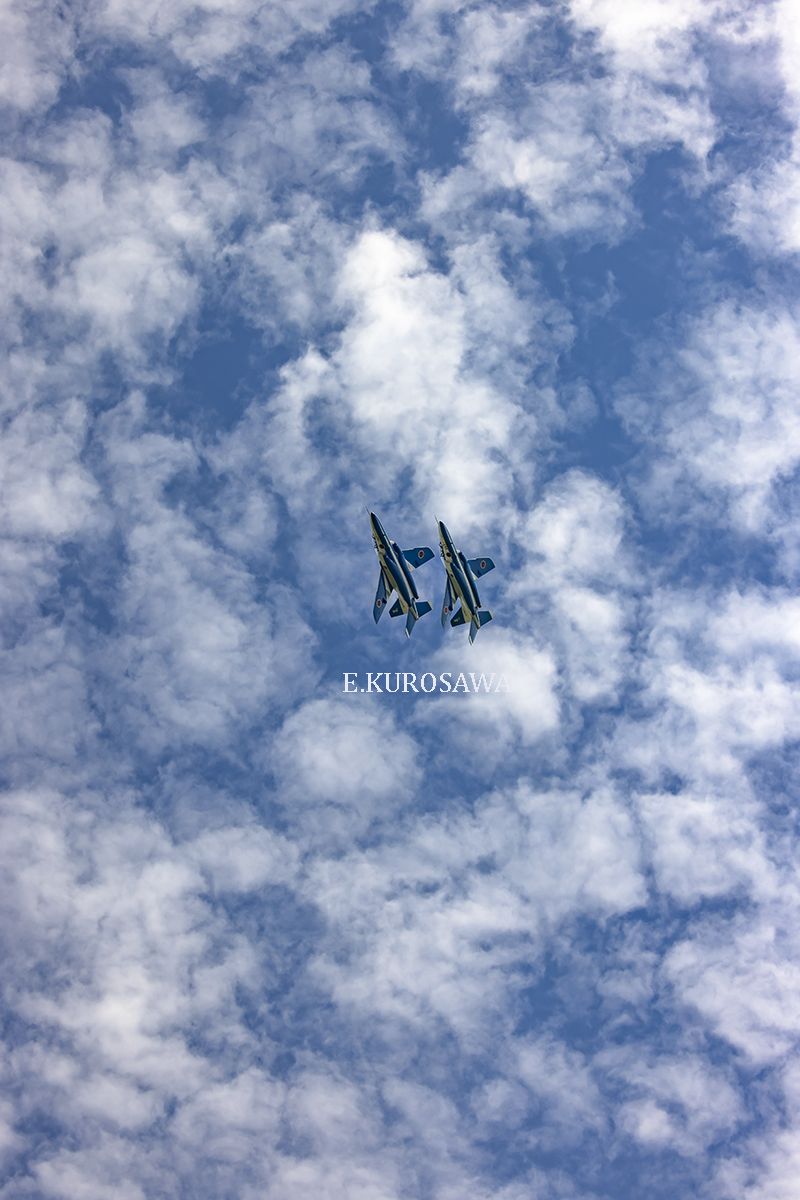 acekuro8's tweet photo. 今日の一(二)枚～～1682
縦位置構図BLUE
気持ちのいいまとまりでした
2023/6月21日撮影 https://t.co/ARlRYaoswa