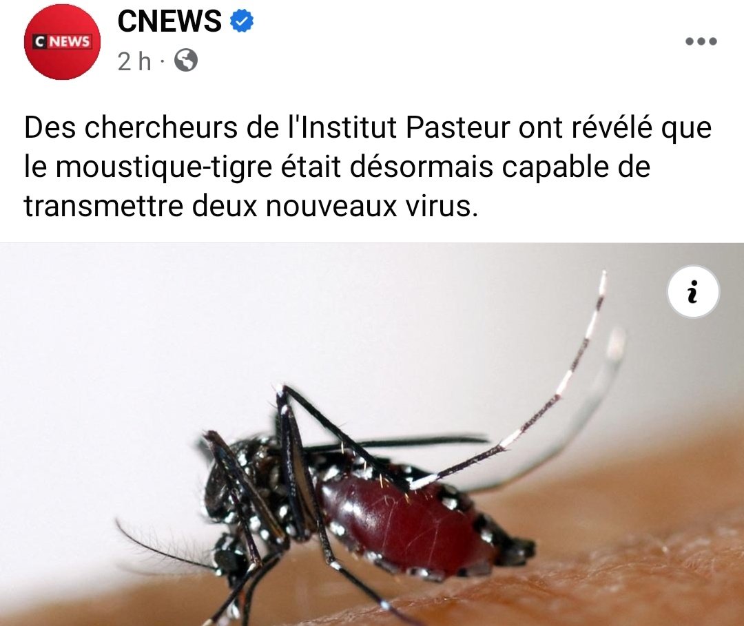 Une usine colombienne financée par Bill #Gates élève 30 millions de moustiques (par semaine) infectés par des bactéries.

Sur le papier, le philanthrope devait rendre les moustiques stériles afin de protéger les humains des maladies... 

Je doute sincèrement de sa bienveillance !