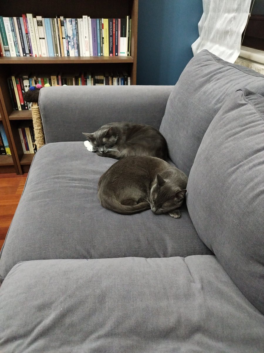 Annemin koltuğunu çaldık huzurla uyuyoruz