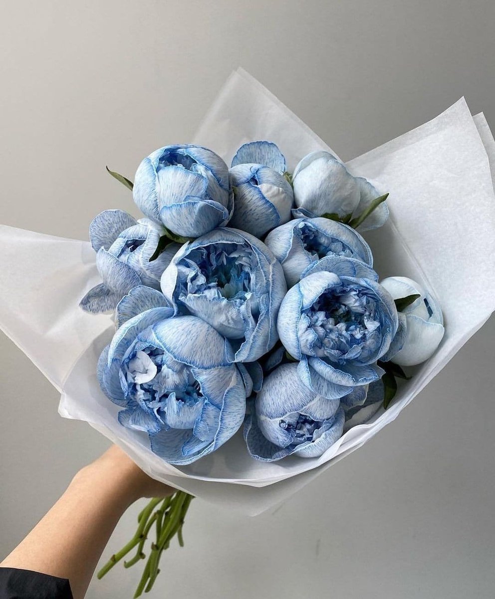 blue peonies