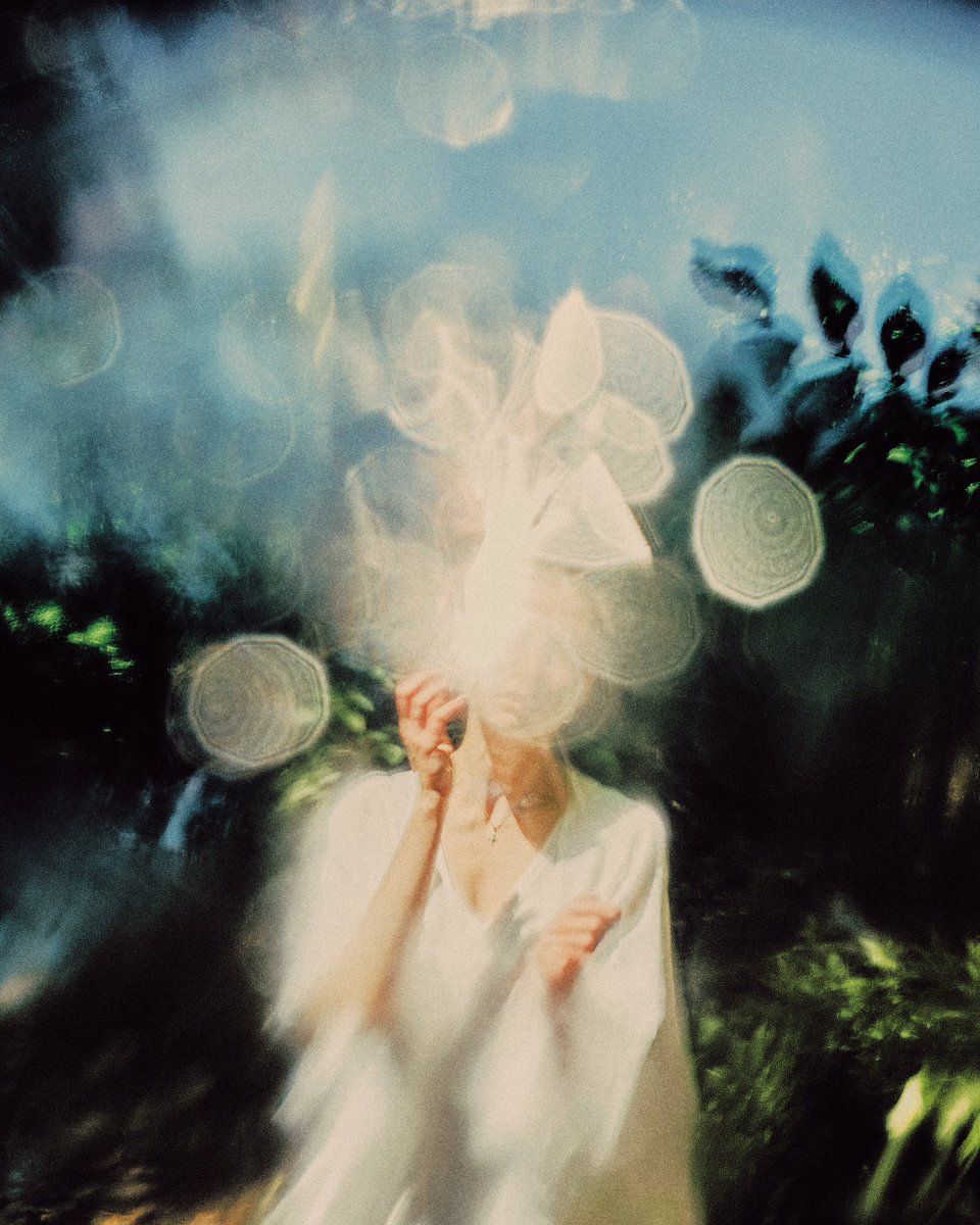 wrapped_nil's tweet photo. flowers of herself https://t.co/d8TKOjlr4W