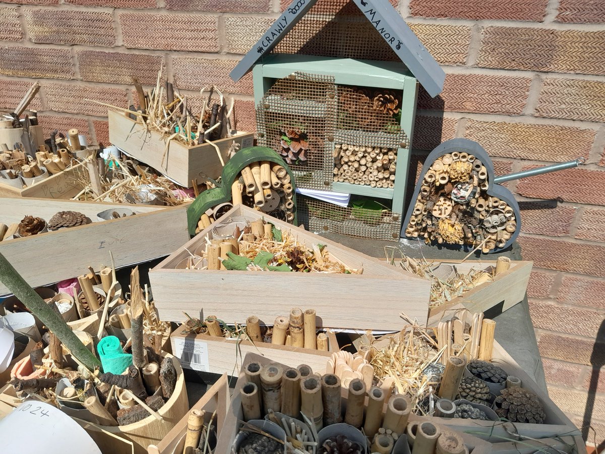 oblongtrees (@oblongtrees) on Twitter photo Today we visited the lovely people at <a href="/Laser_Tools/">Laser Tools</a>, we took along the entries for our bug hotel competition and gave them the tricky job of choosing the winners. <a href="/Laser_Tools/">Laser Tools</a> very kindly funded prizes. All entries will end up at one of our tree planting sites. Thanks everyone. Today we visited the lovely people at <a href="/Laser_Tools/">Laser Tools</a>, we took along the entries for our bug hotel competition and gave them the tricky job of choosing the winners. <a href="/Laser_Tools/">Laser Tools</a> very kindly funded prizes. All entries will end up at one of our tree planting sites. Thanks everyone.