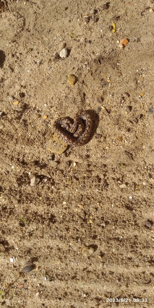 Luis guillermo leon (@leonguillo) on Twitter photo 