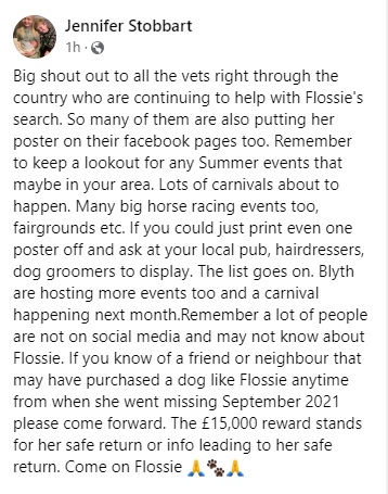 PDRescue's tweet photo. There are lots of dog shows, fetes etc on at the moment. Please keep an eye out for @FindFlossie, &amp; please join:
 https://t.co/BQAqEtJVmJ

If you've innocently adopted Flossie, it's not too late to do the right thing!

#dogsoftwitter #dogtwitter #FindFlossie #SummerSolstice https://t.co/g4c201jPH1