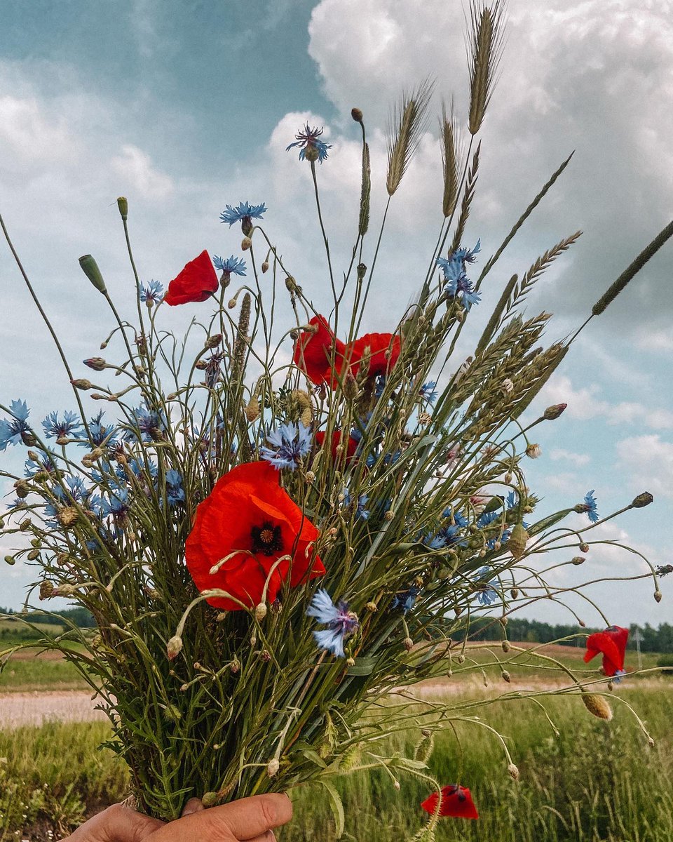 dpknlv's tweet image. Vasaras saulgriežos braukt Jāņu zālēs, dabas spēku smelties!