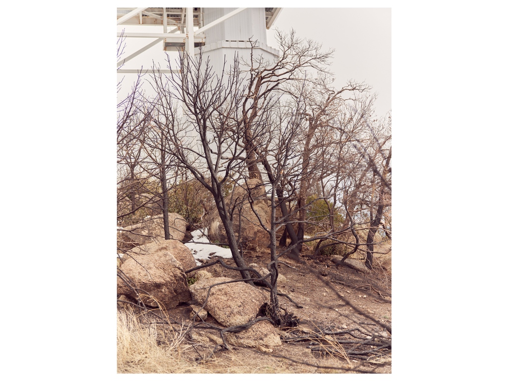 Jesse Rieser tweet media