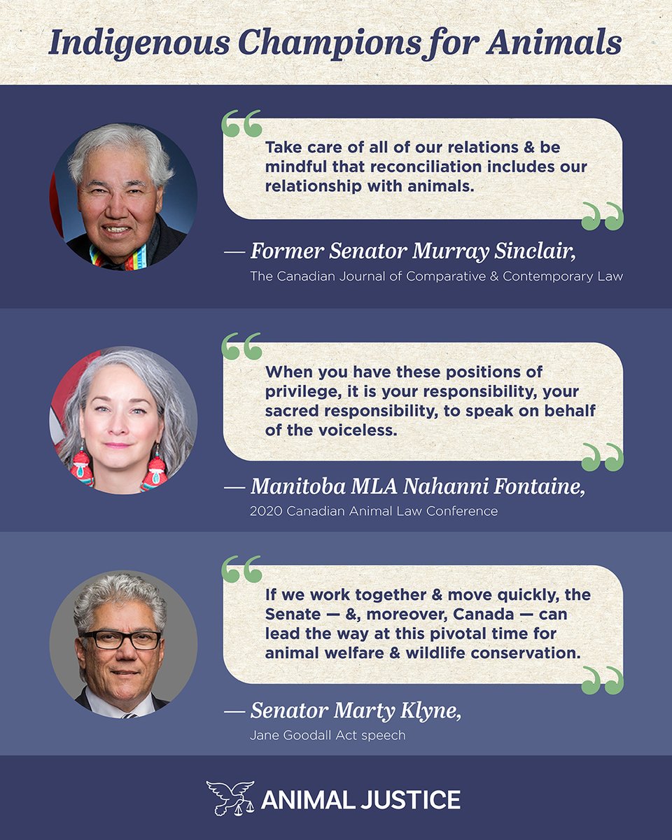 AnimalJustice's tweet photo. Today on National #IndigenousPeoplesDay, we're sharing powerful quotes from 3 Indigenous lawmakers who are incredible champions for animals. We're grateful for all of their compassionate political efforts 🙌 https://t.co/V1Gnv3EtLk