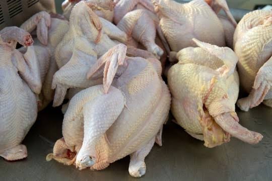 KashmirScan's tweet photo. #FoodSafetyKashmir seizes 10 quintals of imported dressed chicken for non-maintenance of cold chain.
Destroys it on spot; seals #FoodBusinessOperators unhygienic premises.
@JK_FDA_Official
#Unhygienic #Food #Safety #ImportedChicken #Kashmir https://t.co/h2SZodUfe9