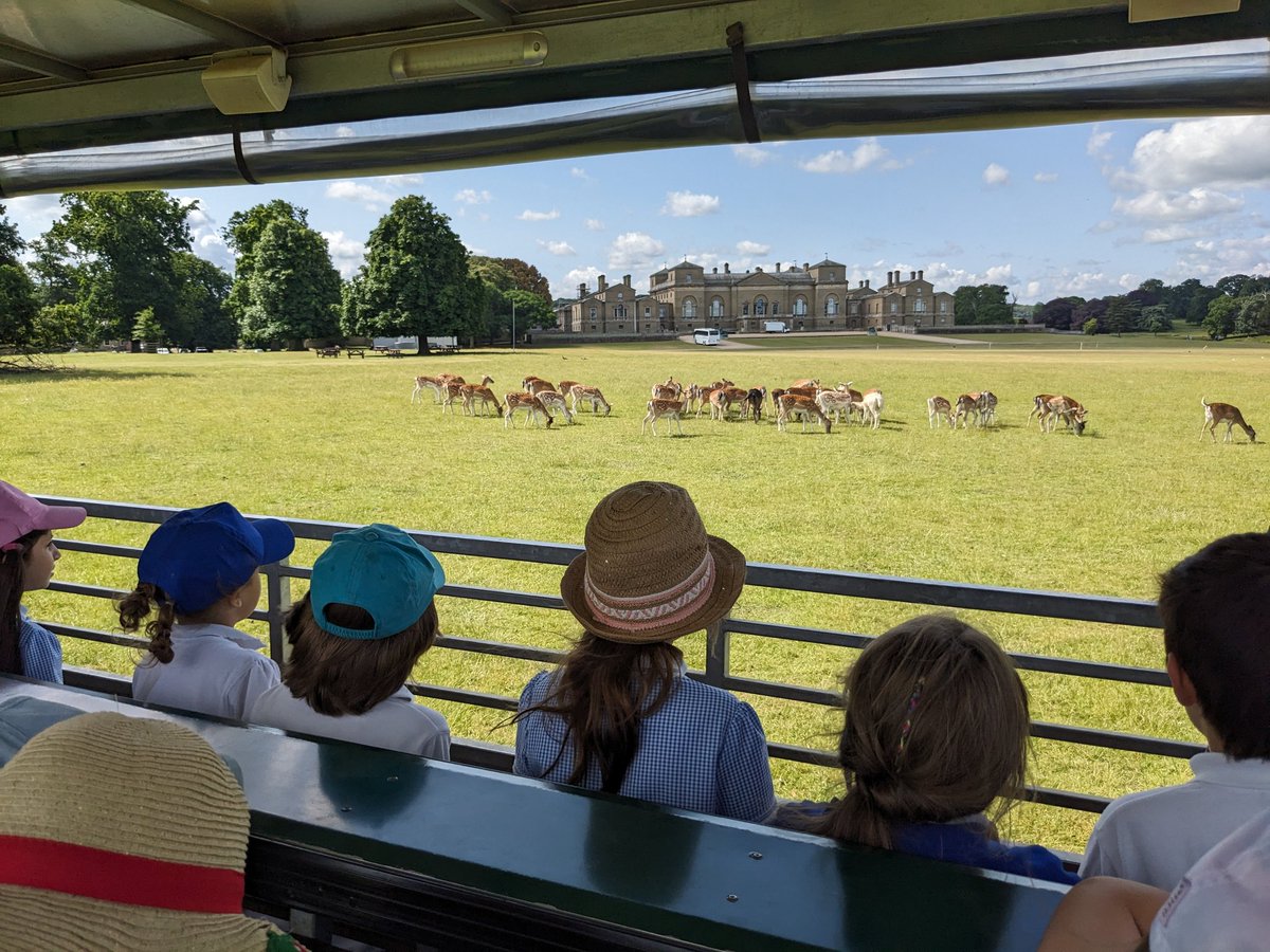 NectonY1's tweet photo. We had a fabulous time at @HolkhamEstate today learning more about plants. We explored the walled gardens and went on a tour around the farm on a tractor! https://t.co/ZGQnS3vER4