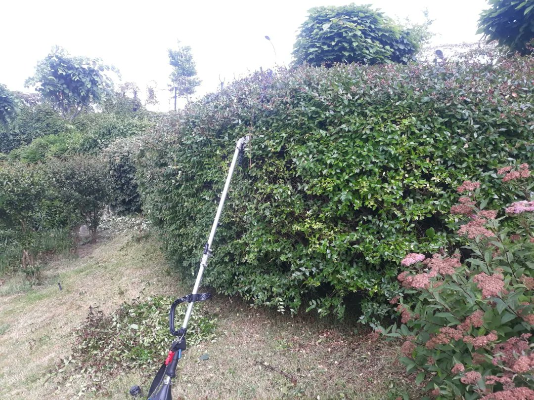 TurocasGrup's tweet photo. SİTE PROJEMİZİN GENEL BAHÇE BAKIM ÇALIŞMALARINDAN

AUS ALLGEMEINEN GARTENPFLEGEARBEITEN UNSERES STANDORTPROJEKTS
#turocasgrup #turocasyonetim #turocas #turocaseurope #danışma #danışmahizmeti #onarim  #onarım  #germany🇩🇪 🇩🇪 #england 🇬🇧 #turkey 🇹🇷 https://t.co/jgjyRQuS10
