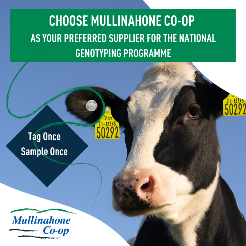 MullinahoneCoop's tweet photo. Choose Mullinahone Co-op when signing up for the National Genotyping Programme today.
Click here to sign up: https://t.co/WRPzLjd5rR
#Mullinahonecoop #NationalGenotypingProgramme #ICBF https://t.co/mRDenqxgB7