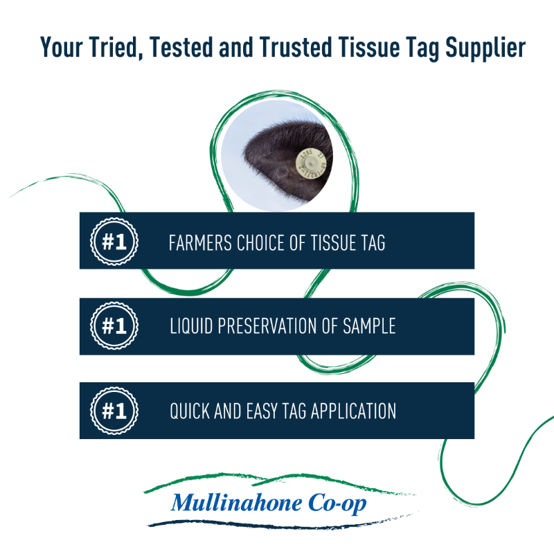 Choose Mullinahone Co-op when signing up for the National Genotyping Programme today.

Click here to sign up: icbf.com/log-in/ 

#Mullinahonecoop #NationalGenotypingProgramme #ICBF