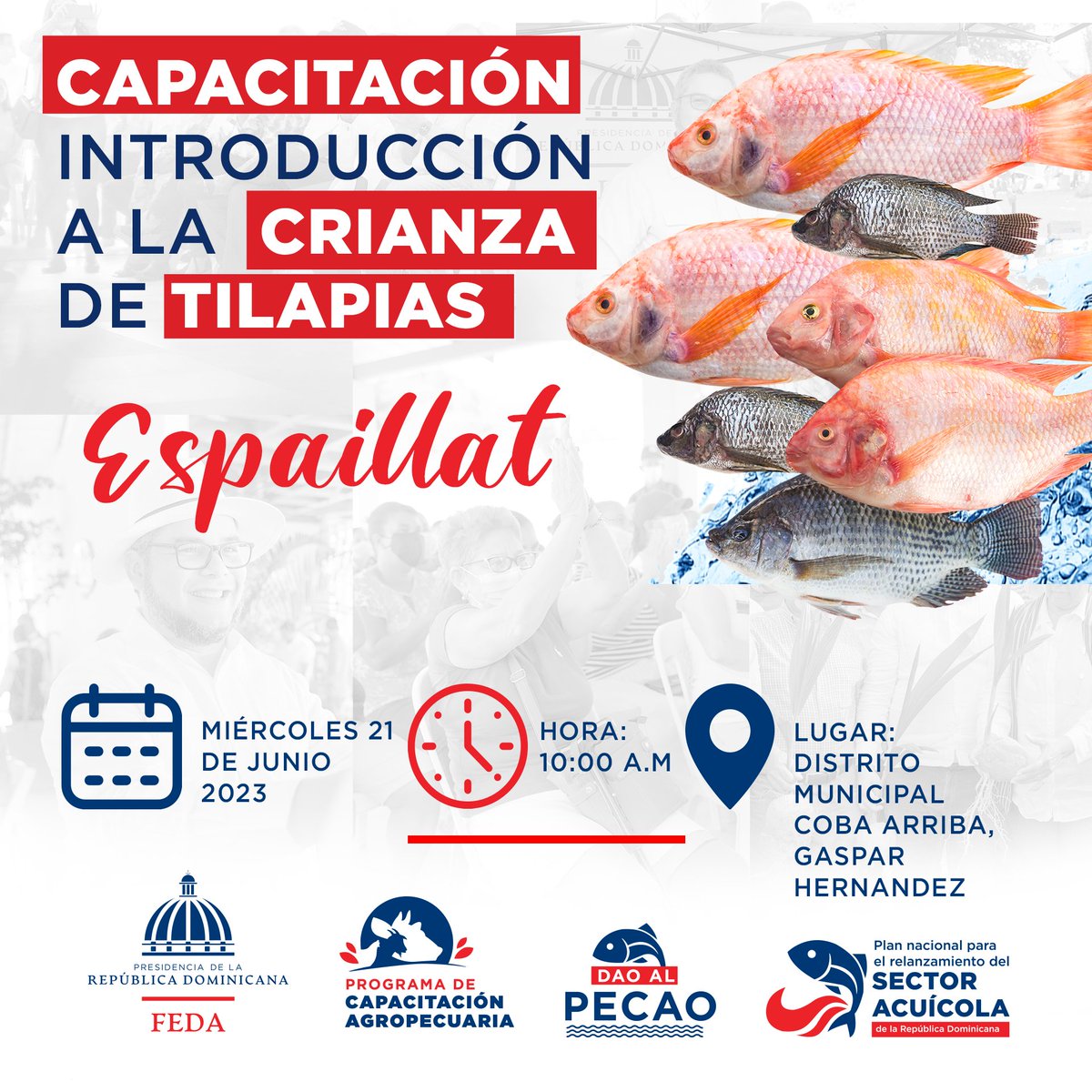 Feda_RD's tweet photo. Estamos dando inicio a la capacitación introducción a la crianza de tilapias Espaillat, en el distrito municipal Coba Arriba, Gaspar Hernández.
¡Seguimos apoyando el sector acuícola del país!
#fedard #daoalpecao https://t.co/gzmnSu8vMc