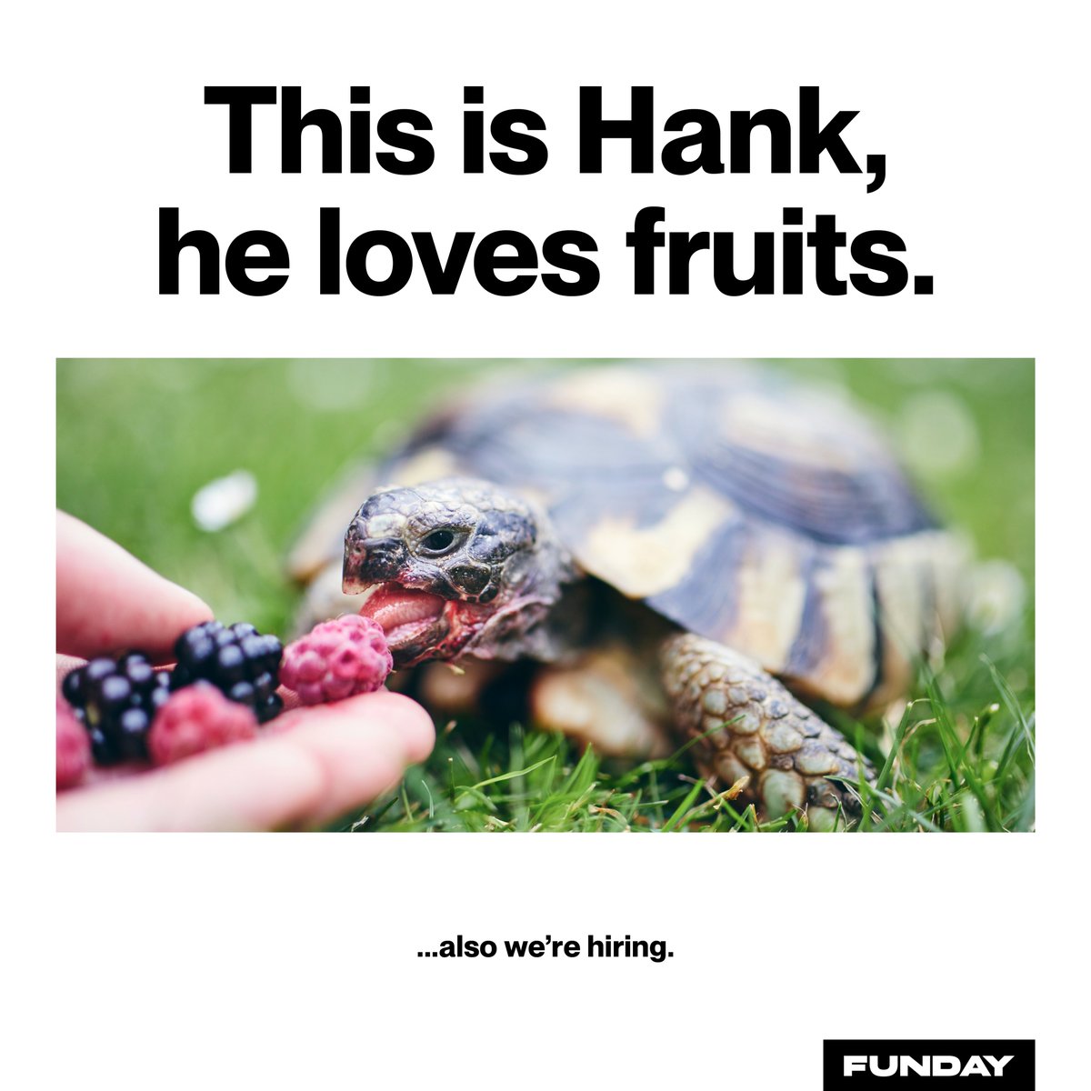 Oh, hello there, storyteller. We're hiring a Copywriter!

Position is remote, anywhere in British Columbia, Alberta, Ontario, or Nova Scotia. Apply here: funday.bamboohr.com/careers/113?so…