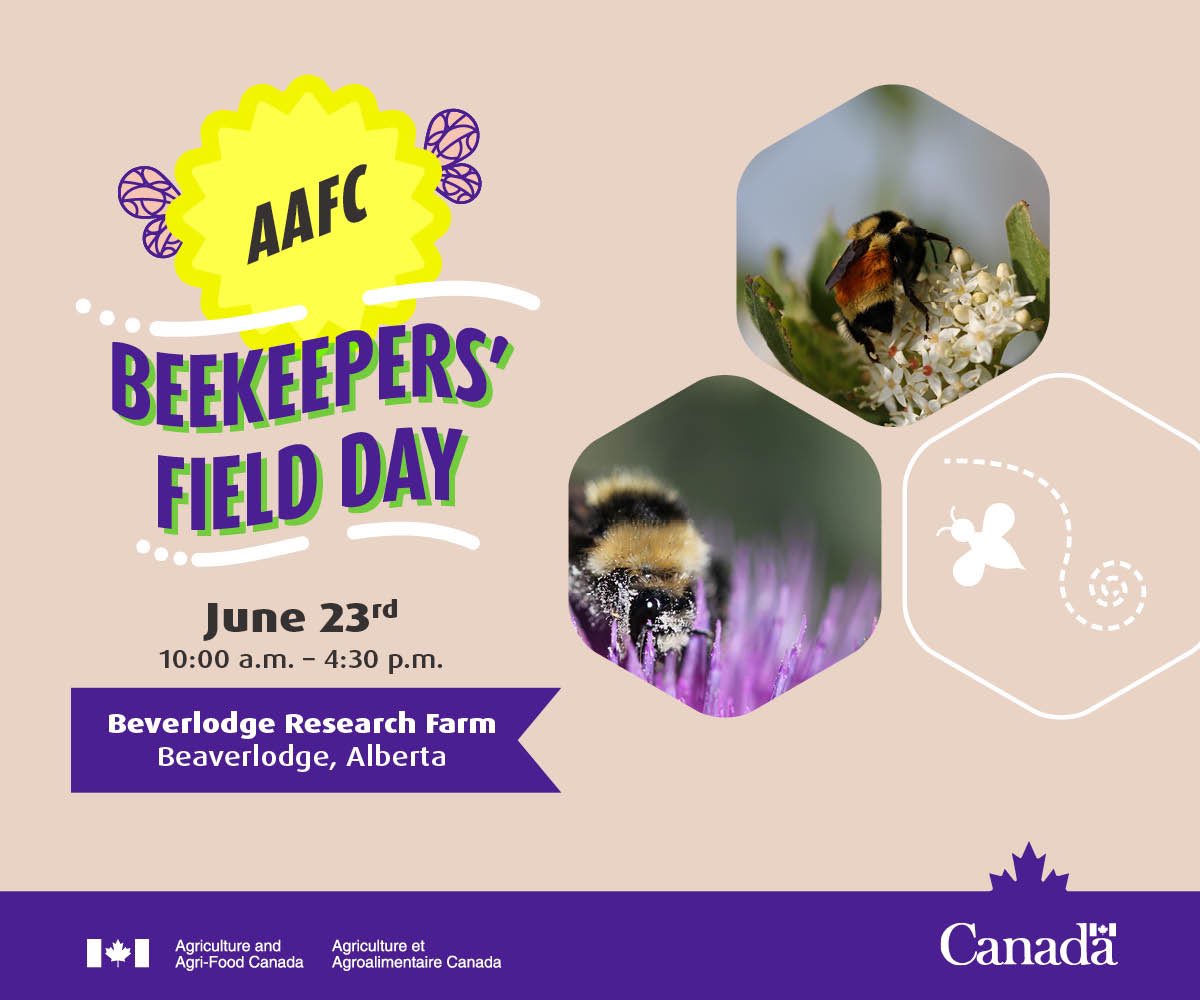 Attn #PeaceCountry! This is a great family event! Honey tasting, cute bees, free lunch - what’s not to love! #beekeepers #beaverlodge #grandeprairie