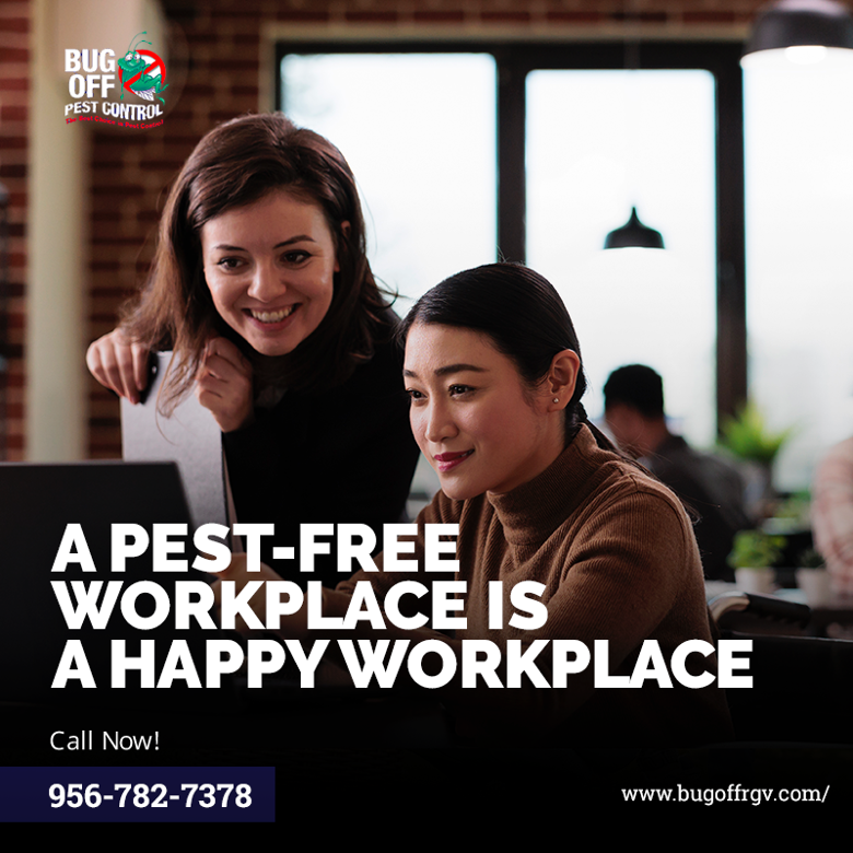 BugOffRGV's tweet image. Pests can harm the reputation of your business and can also pose health risks to your customers and employees. Let us help you identify potential problem areas and provide preventative measures to keep your business pest-free. Call us today at 956-782-7378 to learn more.