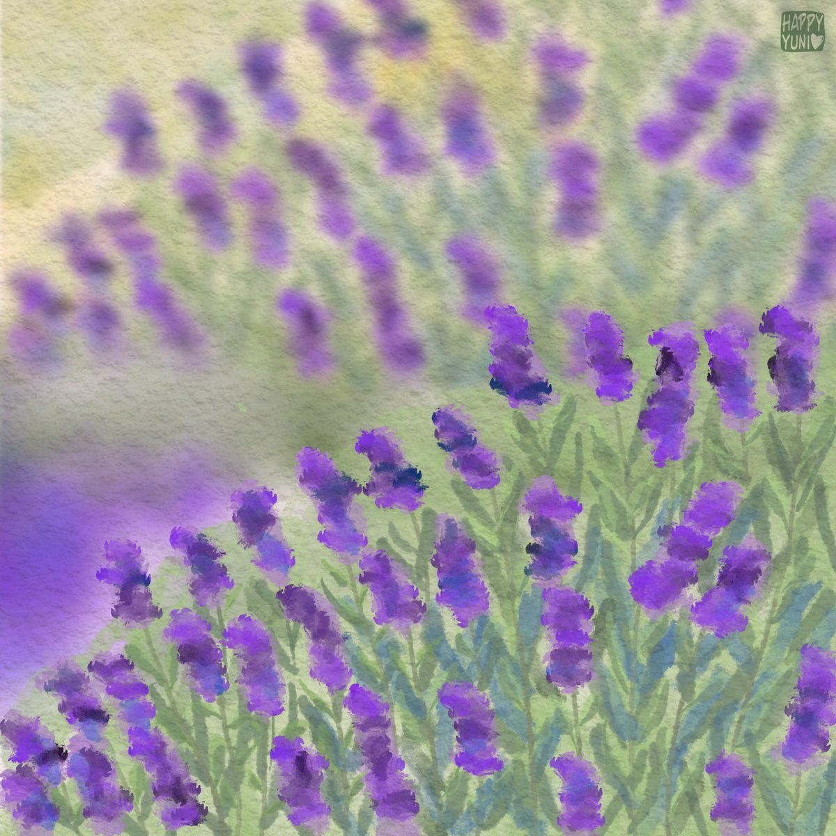 해피유니 tweet media