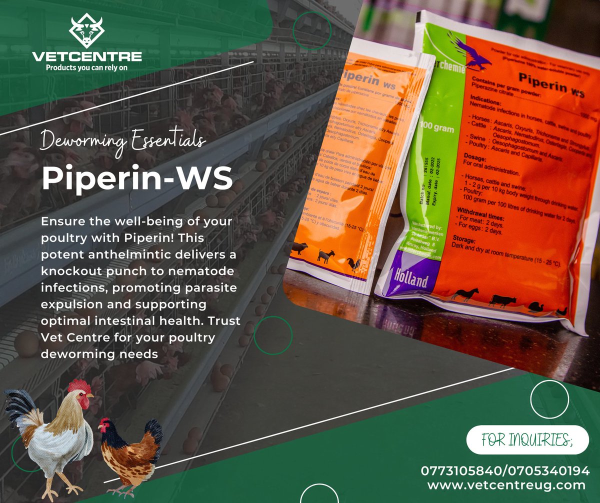 Piperin is combative in the treatment of worm infections in poultry, as well as other animals. However, it's important to follow proper dosing instructions from your vet for effectiveness of the treatment. #PoultryCare #DewormingEssentials