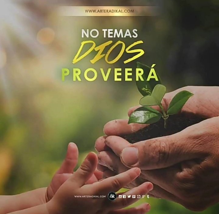 Buen día🌞 #PatriaProductiva Feliz Miércoles ✨ Bendiciones 🙏 @Maria2233447 @Joelcolina201 @jesus372333 @SoyYolit2 @josefin602 @isabelbb95 @KarolSalas89 @MayraPri21 @yenny_escorche @luis16684716 @freddyp44055243 @mar_isa32 @jeankarlosg1 @Maria2233447