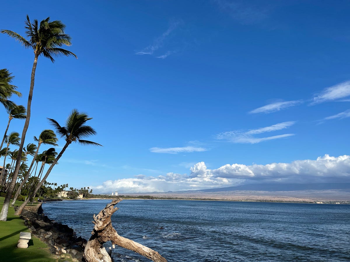 DrMattCrowson's tweet image. RT Developing Interactive and Insightful Dashboards with Spark and Plotly Dash #sparksql #dashboard #datavisualization #dashplotly #insights  dlvr.it/Sr1Sfn