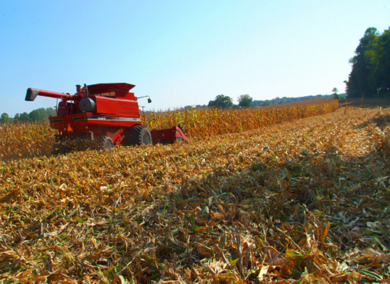 Councilman David Yungmann tweet media