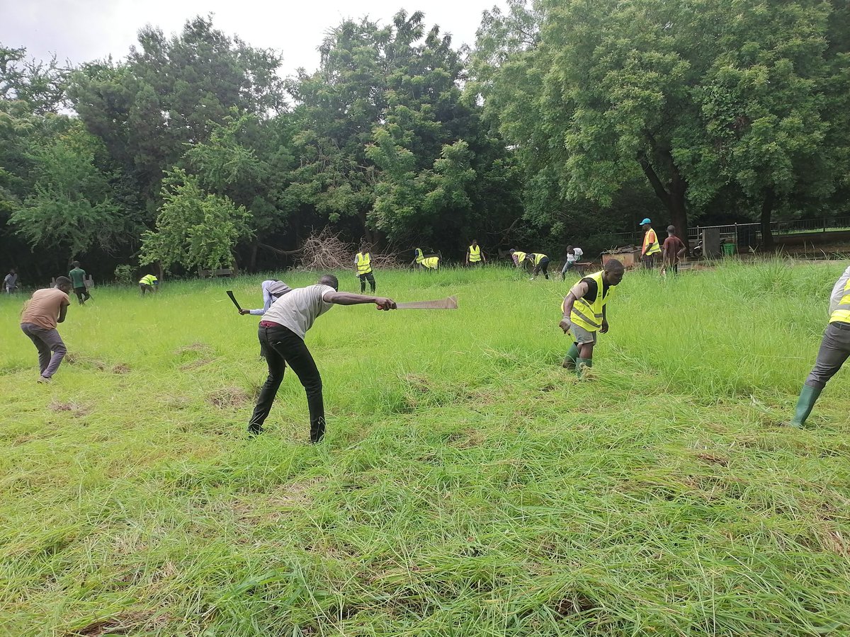 Forte mobilisation ce 21 juin 2023 des étudiants de <a href="/UniveLomeTg/">Université de Lomé</a> lors d'une opération campus propre. Participer à un service  communautaire au cours d'1 journée symbolique que celle des martyrs, est une manière pour ces jeunes d'exprimer leur citoyenneté. #servirpouragir #GouvTg