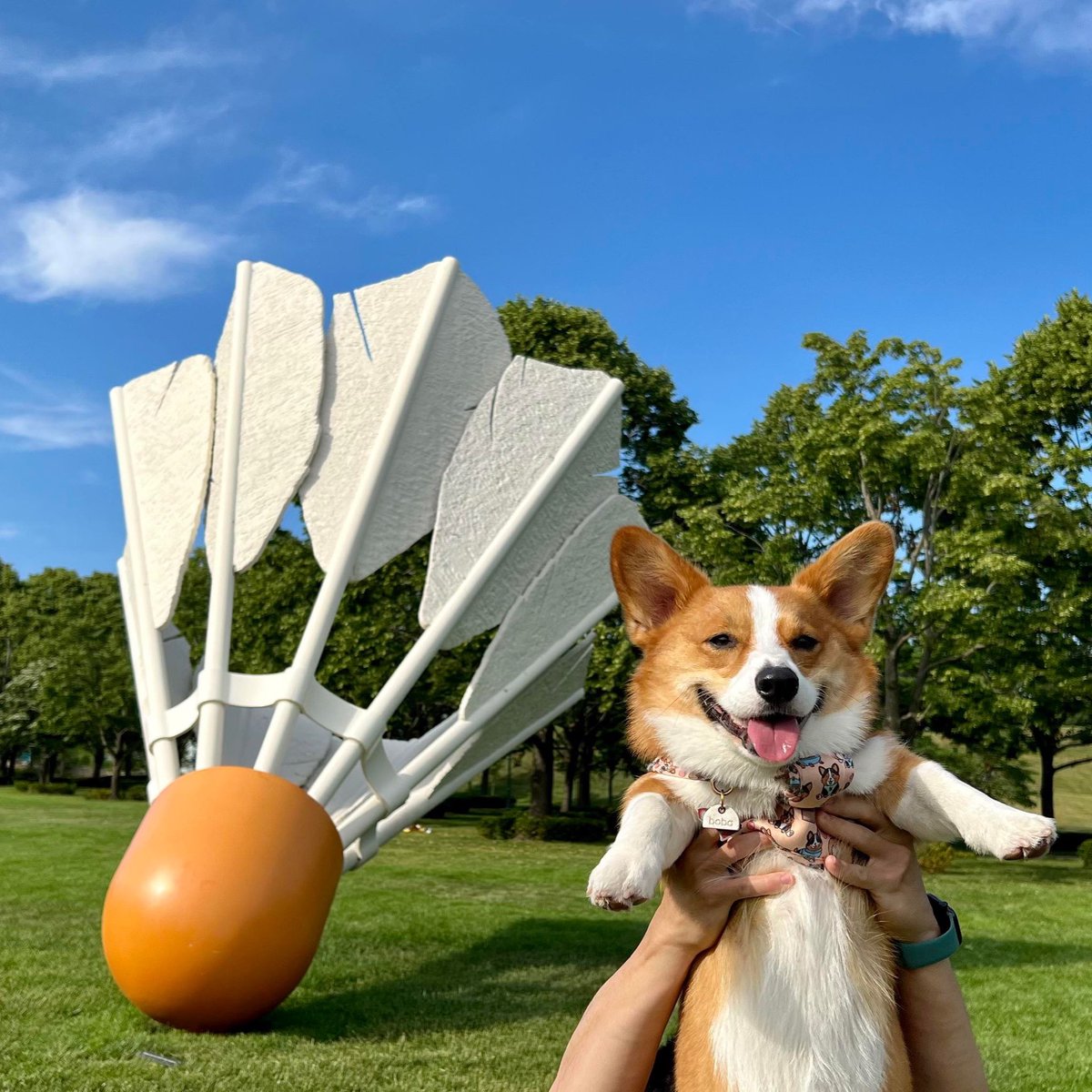 📸:Stephanie & Boba (IG@ little.boba_corgi) ventured to Kansas City for the amazing food scene. But when they discovered our iconic shuttlecock statues they couldn't resist stopping by! Boba had a blast on the trip and even struck a few adorable poses for some pawesome photos!