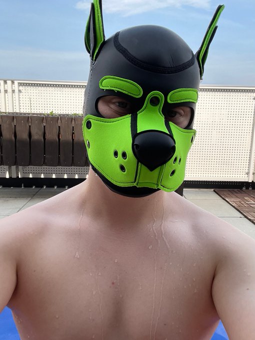 1 pic. What better than being a wet pup to cool yourself.

My pool aint big ? but its enought to be silly