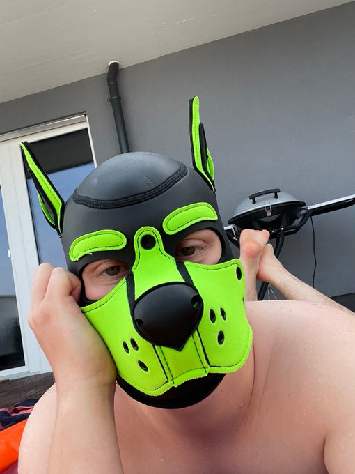 2 pic. What better than being a wet pup to cool yourself.

My pool aint big ? but its enought to be silly