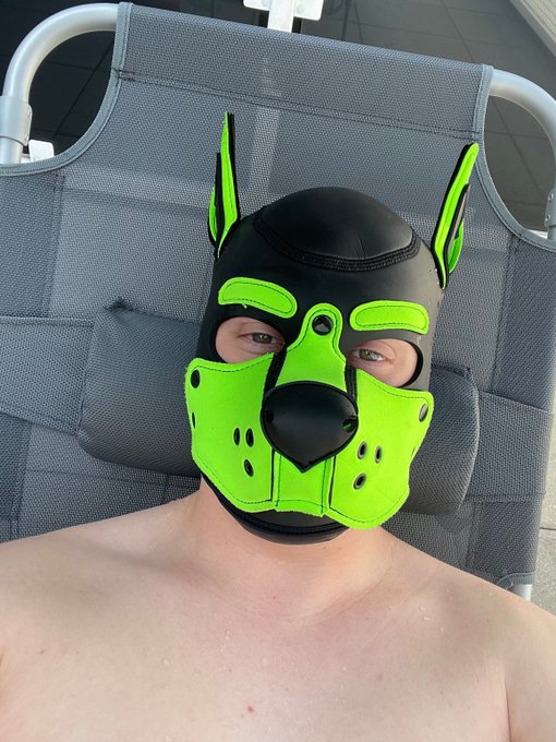 3 pic. What better than being a wet pup to cool yourself.

My pool aint big ? but its enought to be silly