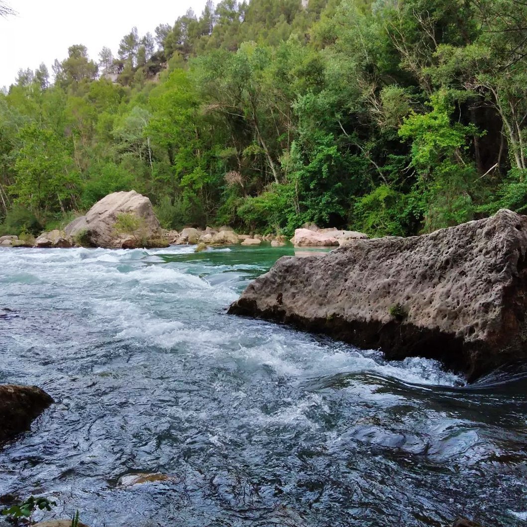 Per despedir lo dimecres, lo riu baixant #Ponentinament amb força a #Camarasa de la @gemmamolina1969, merci!