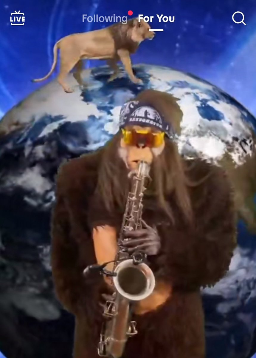 Gracie2shoes_'s tweet photo. Yup, that's enough internet for today 🤣🤣🤣
My algorithm is a live stream of a Sasquatch playing the saxophone in space and a lion walking the earth....
*Song being played Toto Africa 🌍
#EnoughInternetForToday https://t.co/xQECkBjlNe