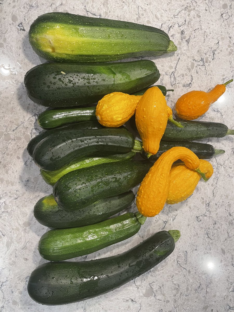 Today’s haul from my garden. 🥰