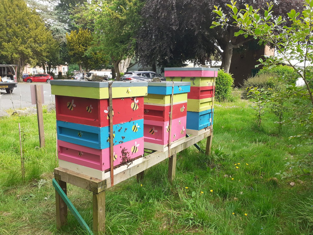 Evening all. Just a temporary visit home for 
#midlandshour #staffordshirehour #smesupporthour #malvernhillshour #solihullhour #droitwichhour @derbypromo I shall be out readying bees for move to school tomorrow. Bees are moved at night. Its not night until after 21.34 #longestday