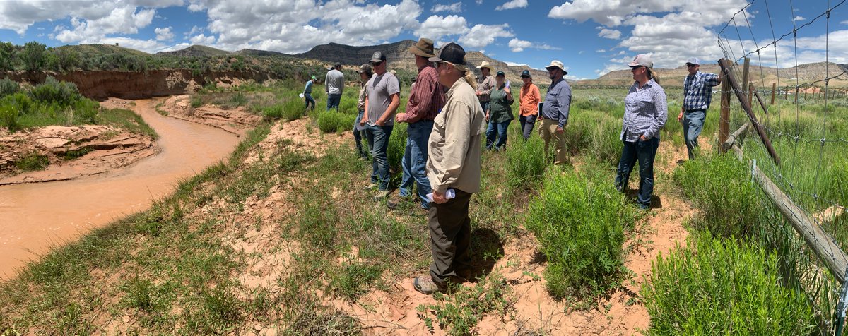 UtahWRI's tweet photo. WRI's Northeastern region summer field tour is in the books.  Thanks to everyone who joined us yesterday to discuss fire rehabilitation strategies on Richard mountain, pollinator plantings near the Jarvie ranch and helped brainstorm ideas to improve the DWR's Red Creek Flat WMA. https://t.co/U85F2rHRo9