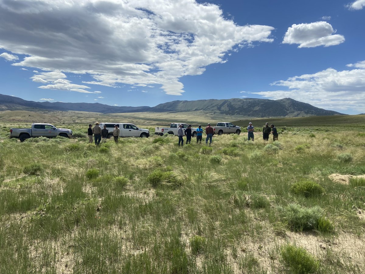 WRI's Northeastern region summer field tour is in the books.  Thanks to everyone who joined us yesterday to discuss fire rehabilitation strategies on Richard mountain, pollinator plantings near the Jarvie ranch and helped brainstorm ideas to improve the DWR's Red Creek Flat WMA.