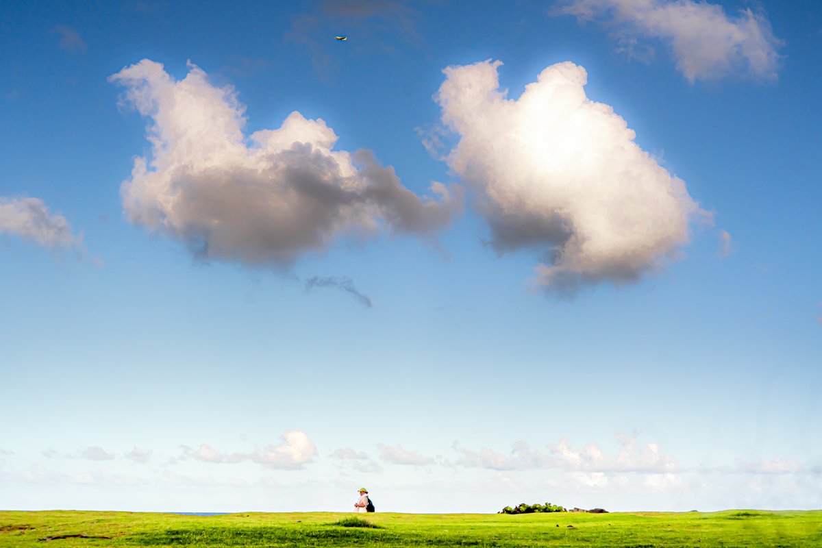 fotofilosofo's tweet image. Mi nombre es Sebastián, llevo tres años experimentando con distintos medios y técnicas fotográficas. 

My name is Sebastián, I have been experimenting with different mediums and photographic techniques for three years.